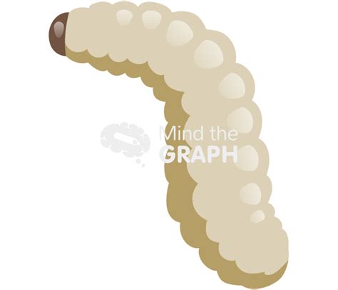 Free Honey Bee Larva Icons Symbols Pictures And Images Mind The Graph