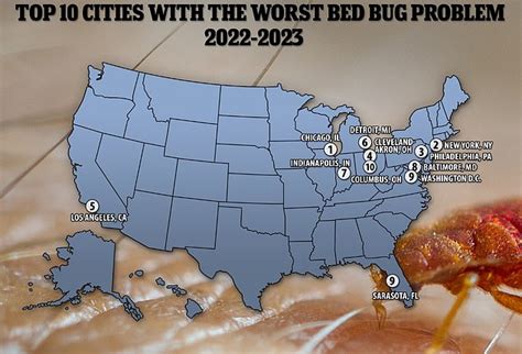 Chicago Tops List Of U S Cities With The Worst Bed Bug Problem For