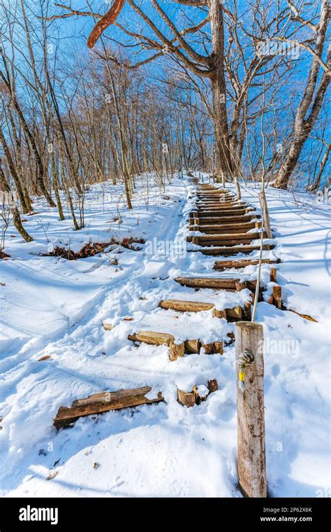 Shiraito Falls cover in snow at Winter 2022 Stock Photo - Alamy