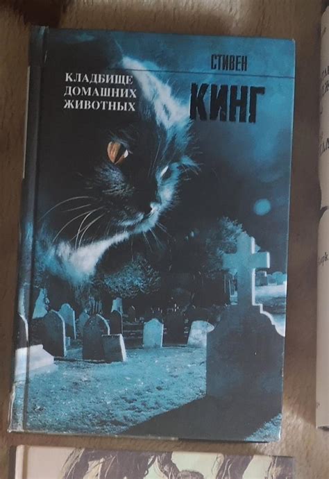 Аудиокнига Стивен Кинг Кладбище Домашних Животных Лучшая Фото Подборка