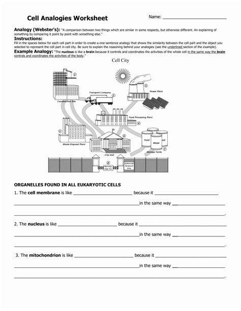 50 Cell City Analogy Worksheet Answers – Chessmuseum Template Library