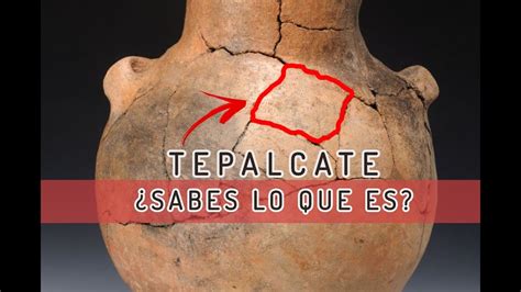 TEPALCATE Sabes lo que es y lo que puedes ENCONTRAR dónde lo hay