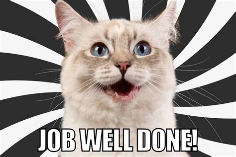 Great Job Animal Meme
