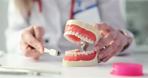 Dentist Demonstrates Correct Technique For Brushing Teeth On Model