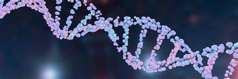 molecular biology kate sonnenberg college admissions success