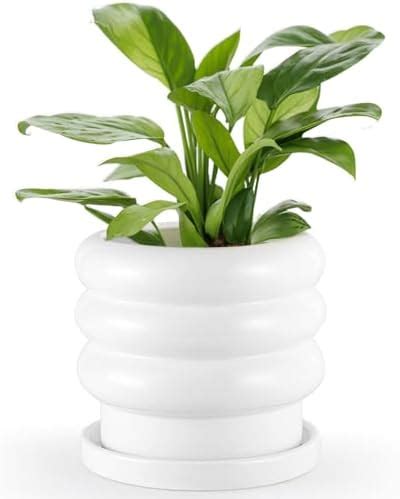 Amazon Ceramic Planter Pot 6 Inch Bubble Planter With Drainage