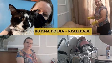 Vlog de rotina Dicas domésticas Levei o meu gatinho no veterinário