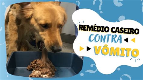 APRENDA COMO ACABAR O VÔMITO DO SEU CACHORRO OU GATO REMÉDIO