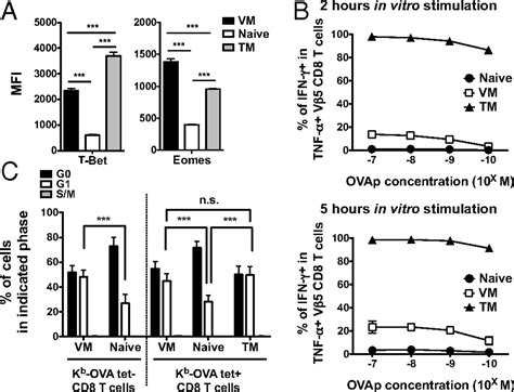 Virtual Memory Cd8 T Cells Display Unique Functional Properties Pnas