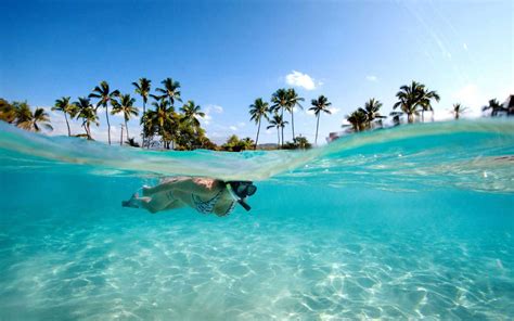 The Best Beaches for a Snorkeling Vacation: Exploring Underwater Wonders