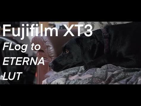 Fujifilm XT3 FLog To ETERNA LUT YouTube