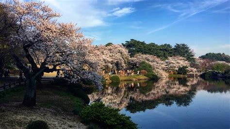 Shinjuku Gyoen Park