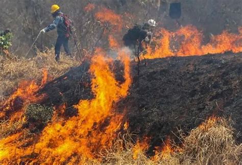 Santa Cruz Registra Un 66 De Riesgo Extremo De Ocurrencia De Incendios