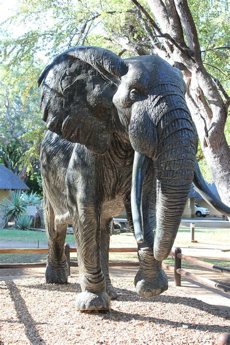 Za Elephant Museum Letaba Rest Camp Kruger Natio Flickr