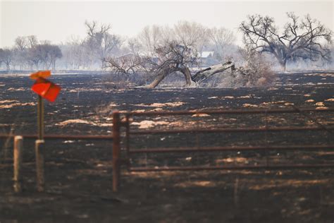 Texan Panhandle Wildfire Becomes Largest In States History