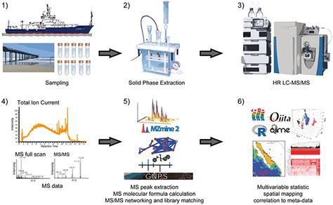 Liquid Chromatography Mass Spectrometry