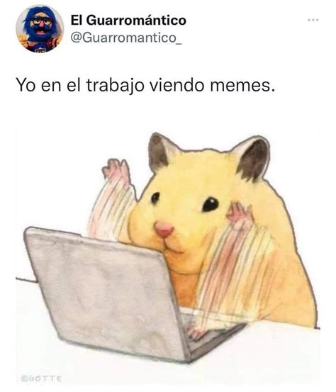 Pin en Netas jajaja True haha en 2024 Memes divertidos Imágenes