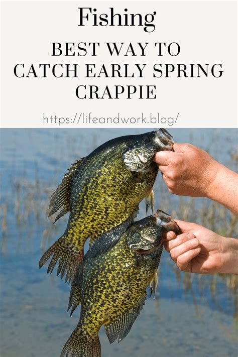 Best Way To Catch Early Spring Crappie In 2024 Crappie Fishing Tips