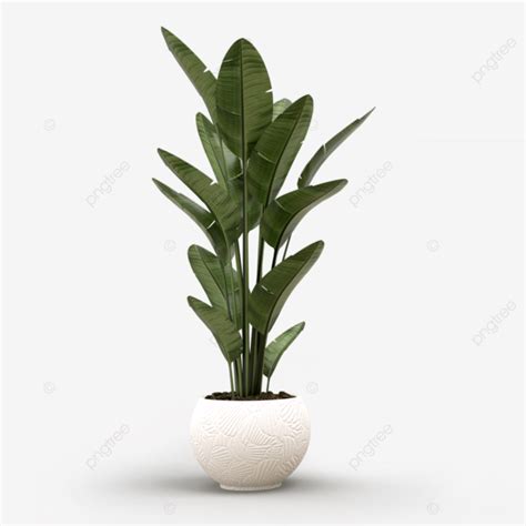 Indoor Plants PNG Picture, Indoor Plant, Indoor Plants, Plants ...