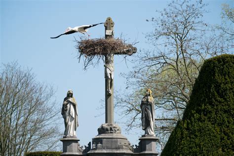 Mijn Stad Het Mechelen Van Bioloog En Filmmaker Pim Niesten 42 Ik