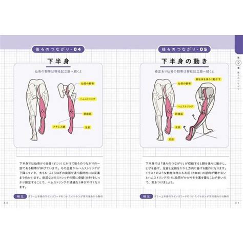 世界一わかりやすい筋肉のつながり図鑑 通販｜セブンネットショッピング