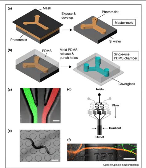 Figure 1 From Micro Scale And Microfluidic Devices For Neurobiology Semantic Scholar