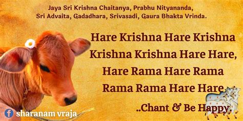 Hare Krishna Mahamantra With Photo Of Cow Hare K A Gaura Hare