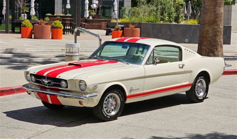 1965 Ford Mustang Fastback Vintage Car Collector