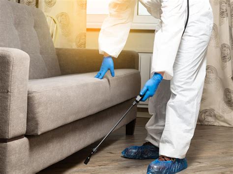 Six Benefits Of Hiring A Professional Pest Control Company