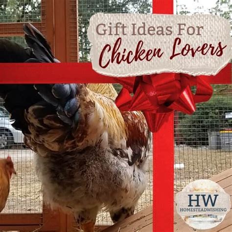 Gifts For Chicken Lovers - Holiday Gift Guide For Chicken Lovers ...