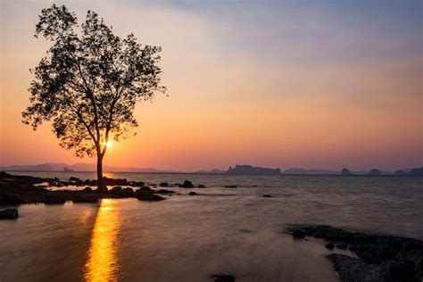 Silueta de árbol y paisaje marino al atardecer de la isla de koh kwang