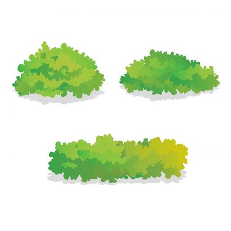 Set Of Isolated Green Bushes Premium Vector