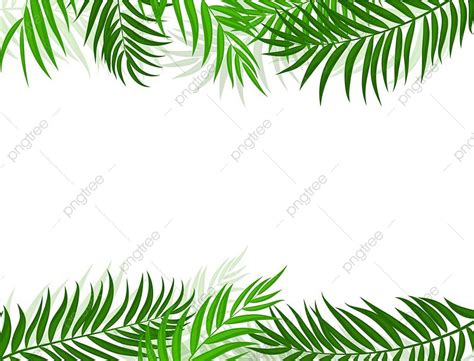 Palm Tree Leaf Silhouette Vector PNG, Beautifil Palm Tree Leaf ...