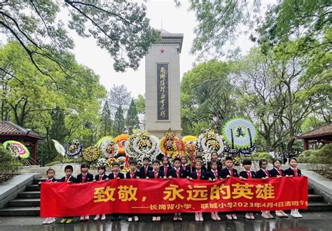 清明祭英烈 共铸中国魂｜记上海世外教育附属莲都区长岗背小学清明节祭扫活动 审稿使用一 丽水网 丽水新闻综合门户网站