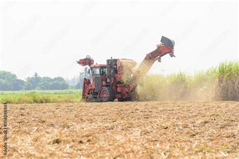 harvest the sugarcane by Sugarcane harvester Stock Photo | Adobe Stock