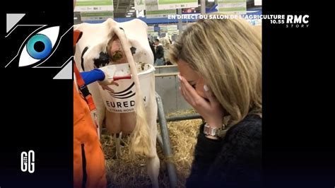 Zap Télé 2 Les images de Sarah Saldmann rencontrant sa première vache