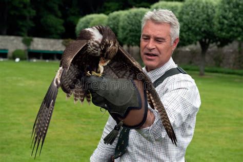 Falconry Show at Dunrobin Castle, Scotland Editorial Photo - Image of manson, history: 123570301