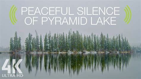 8 HRS White Noise Of Wind And Gentle Lake Sound For Relaxation 4K