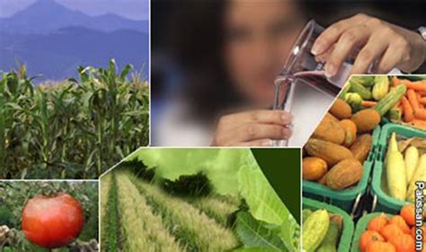 ⚡ Importance Of Biotechnology In Agriculture Biotechnology In Agriculture 2022 10 15