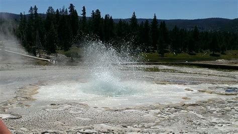 Sawmill Geyser Upper Geyser Basin Geyser Yellowstone Natural Landmarks