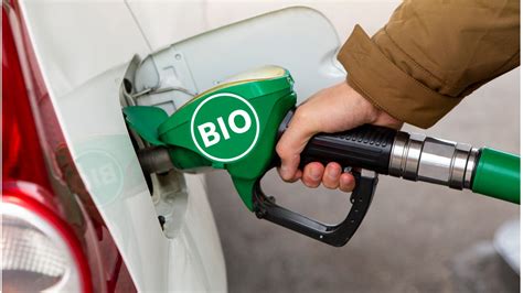 World Biofuel Day 2022 Theme History And Significance News18