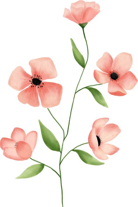 Pink Flower Leaves Floral Watercolor For Decoration 11306466 Png