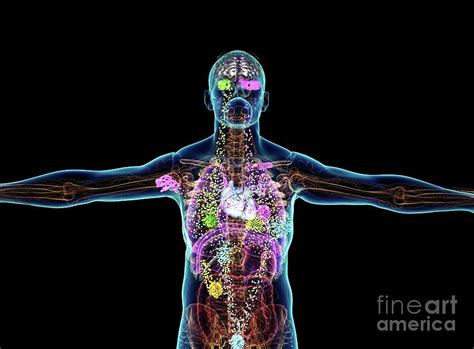 Cancer Metastasis Photograph By Ella Maru Studioscience Photo Library