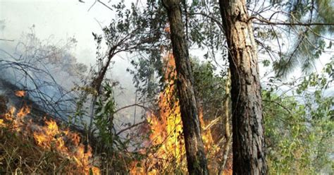 Incendio Forestal Provoca Evacuaciones En Alaska Mundo Tvn Panamá