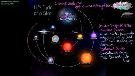 Diagram Of Life Cycle Of A Star 8th Grade Life Cycle Of A St