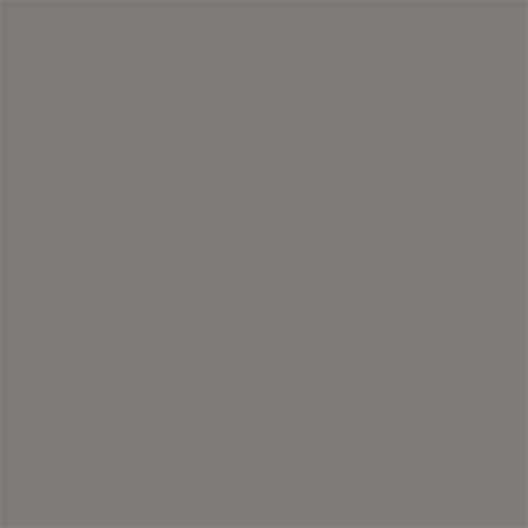 Greyhound Paint Color An Exploration Of The Hues Of Classic Gray