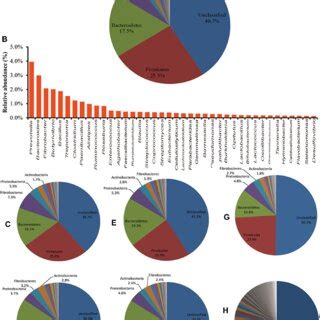 A Phylum Level Taxonomic Distribution Of The Predicted And