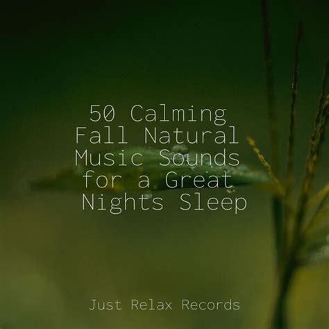 50 Calming Fall Natural Music Sounds For A Great Nights Sleep Chakra