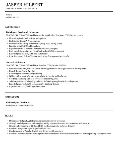 Java Technical Lead Resume Samples Velvet Jobs