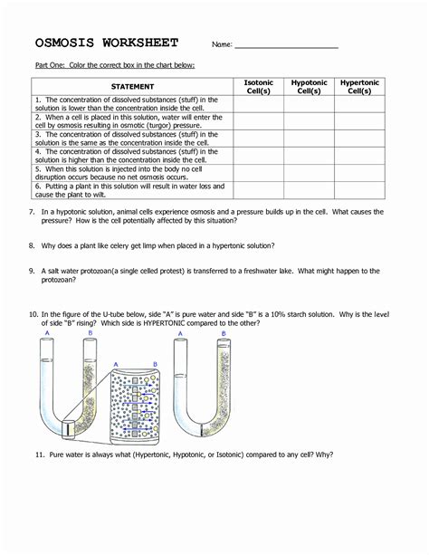 Osmosis And Diffusion Worksheet